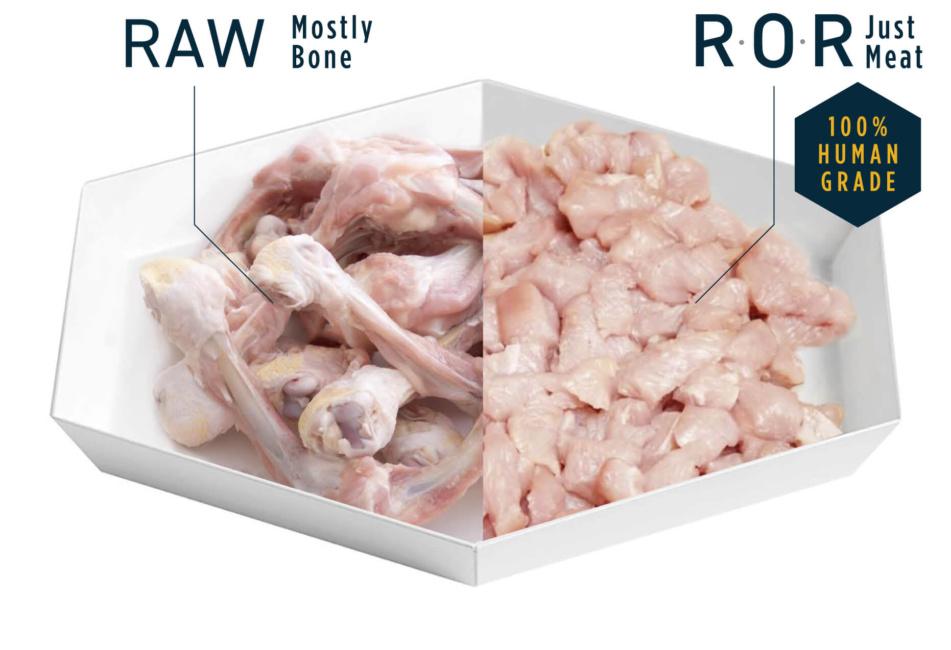 R.O.R plate proportions