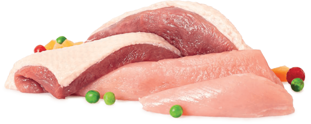 Raw chicken ingredient in ROR