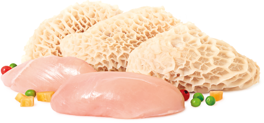 A selection of the raw ingredients